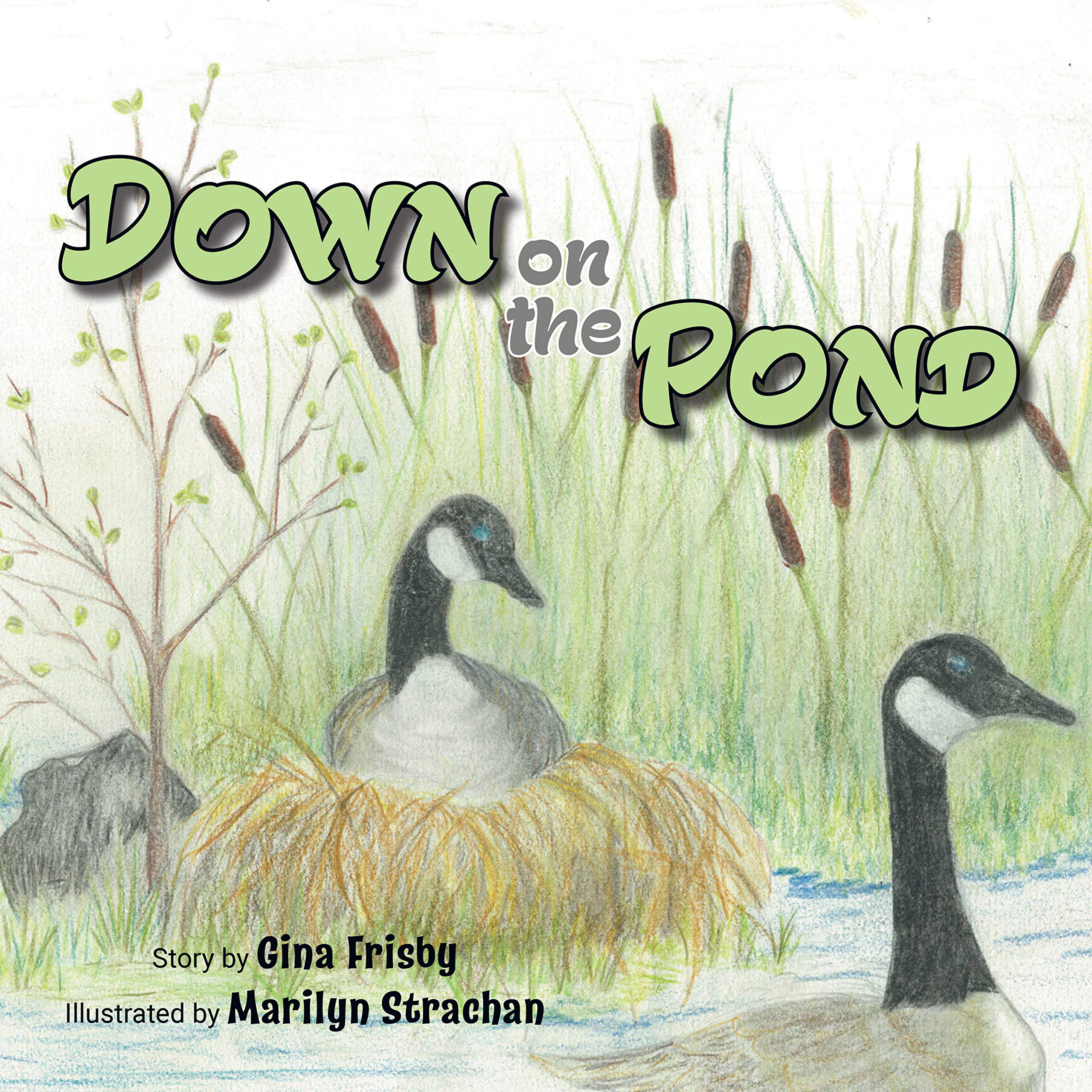 Down on the Pond cover